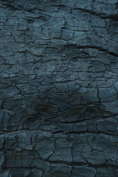 istock Burnt wood texture with black charcoal. for wallpapers and backgrounds 1902000296