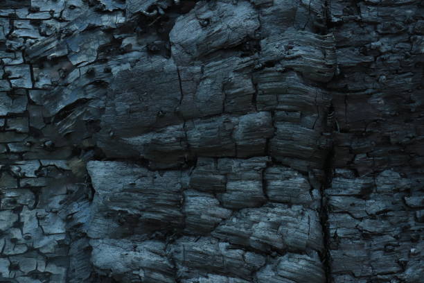istock Burnt wood texture with black charcoal. for wallpapers and backgrounds 1902002129
