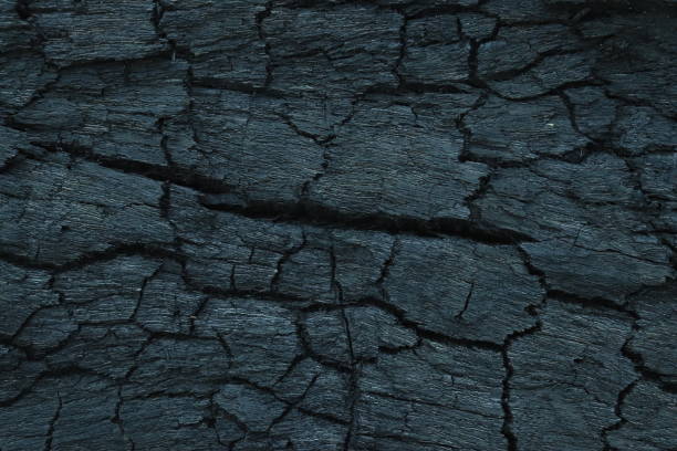 istock Burnt wood texture with black charcoal. for wallpapers and backgrounds 1902002655