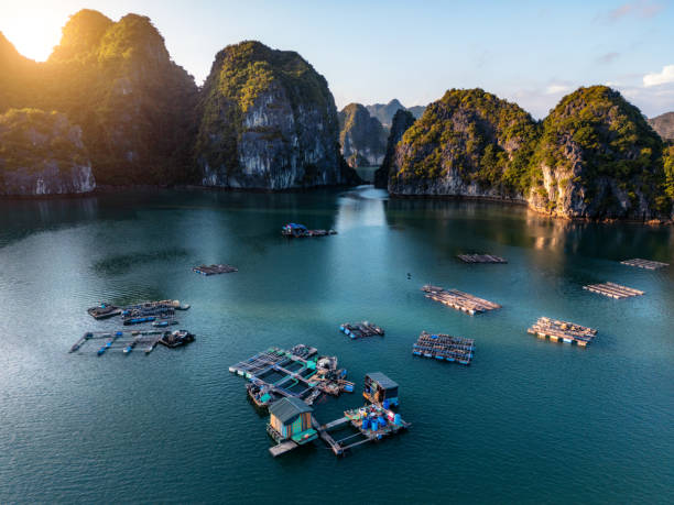 istock beautiful Ha Long Bay in north Vietnam during sunset 1902008609