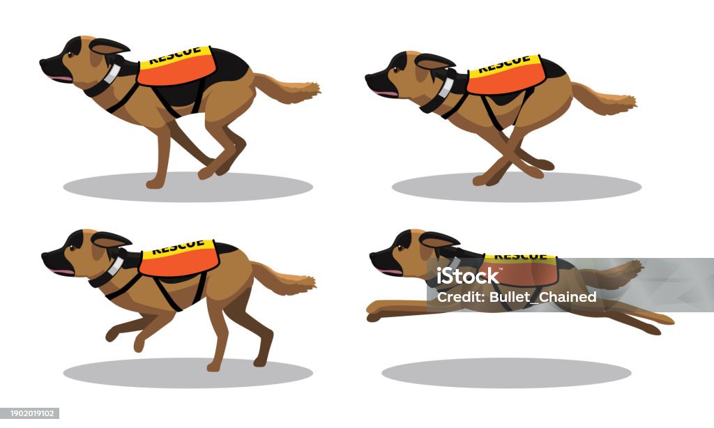 Dog Rescue Animation German Shepherd Rescue Dog Running Side Cartoon Animation Vector Stock ...