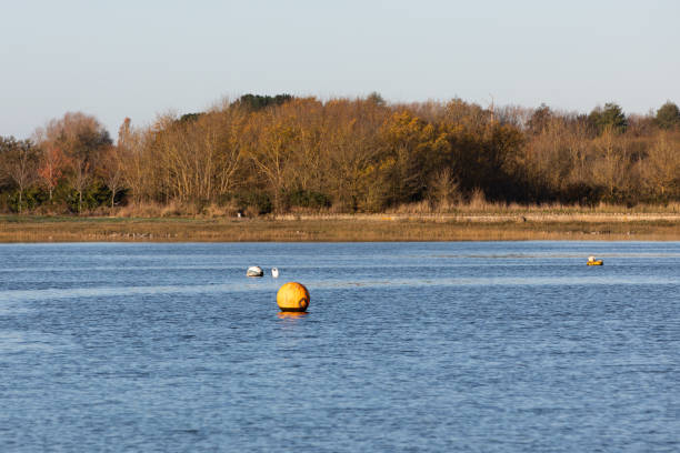 istock Mooring buoys at Chichester Harbour on  a sunny Winter day. 1902044680
