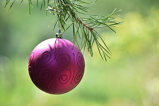 Elements of Christmas decoration