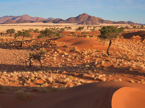 in Namib Rand Nature Reserve in Hardap region