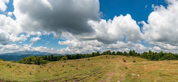 Panoramic shot of a picturesque valley flooded with bright sunlight. Khakassia, South Siberia, Russia.