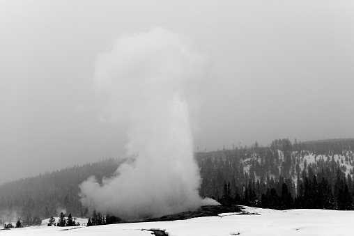 Old Faithful Geyser erupting in winter snow