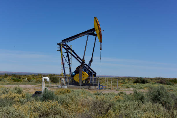 istock Oil extraction pumping, Patagonia, Argentina. 1902083283