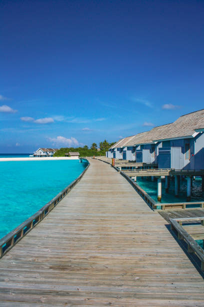 istock Wooden pier in the Maldives 1902103302