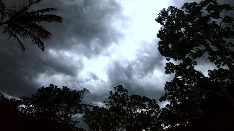 A dark and ominous sky with heavy clouds floats by a forest in turmoil