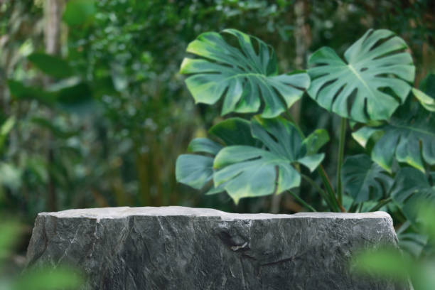 istock Stone tabletop podium floor in outdoors tropical garden forest blurred green leaf plant nature background.Natural product placement pedestal stand display,jungle paradise concept. 1902121034