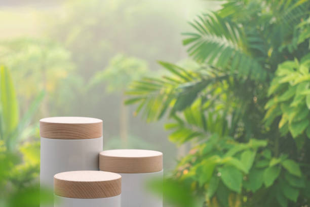 istock Minimal podium table top outdoors blur green leaf tropical forest plant background.beauty cosmetic healthy natural product placement pedestal display,spring or summer jungle paradise concept. 1902121567