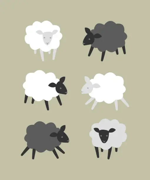 Vector illustration of Set of sheep in different color variations.