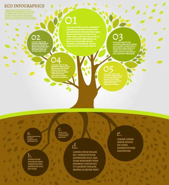 Vector illustration of Beautiful bio infographics with tree and underground area