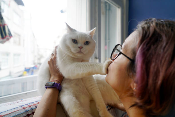istock Woman holding cat's head, petting him 1902168912