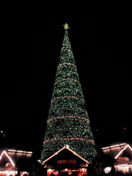 istock Giant Christmas tree in the main square 1902171018
