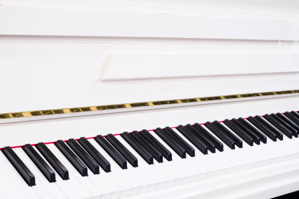 istock Grand piano,  Classic piano key with musician hands playing 1902187995