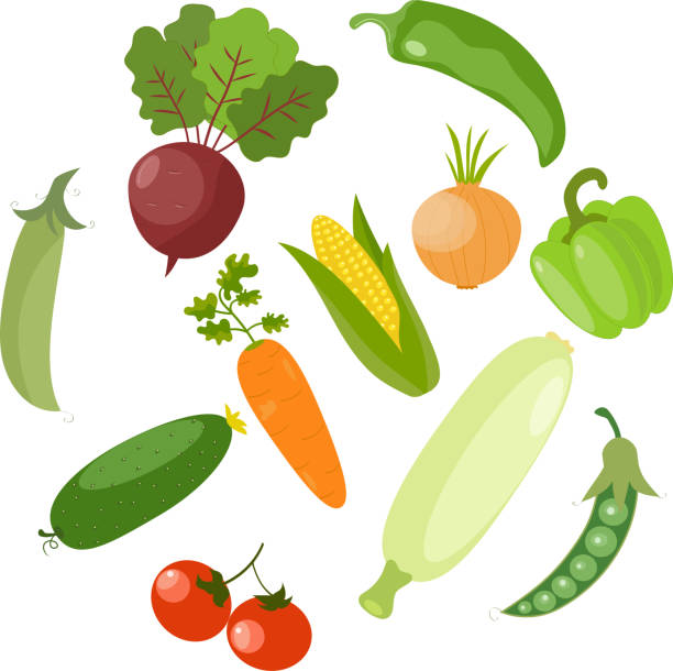 ilustrações de stock, clip art, desenhos animados e ícones de set of vegetables. bell pepper, carrot, tomato, onion, corn, zucchini, peas, beet. - green bell pepper cucumber green pea isolated