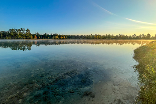 Scenic northern Michigan wilderness lake at daybreak, with golden light illuminating a pine forest peninsula.