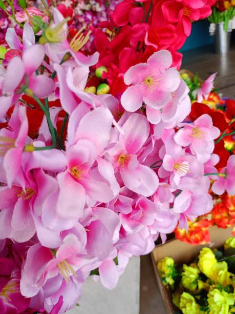 istock Orchids blooming beauty nature in garden 1902265047