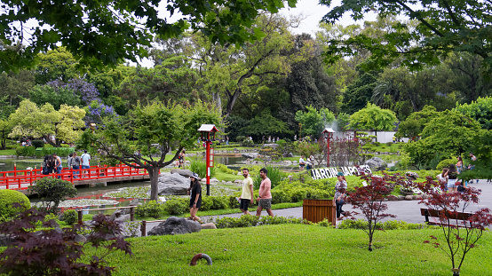 Landscape view of people enjoying a warm spring afternoon  surrounded by tall trees and grass areas near a small lake at Buenos Aires japanese garden. Taken outdoors in a warm spring afternoon.