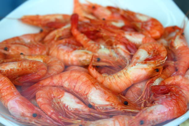 istock Seafood in Portugal 1902283822