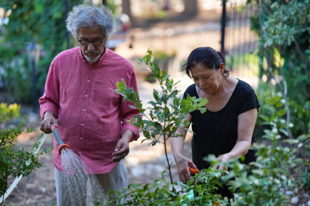 istock Senior Hobbyists in Garden 1902341354