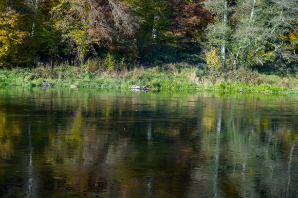 istock Autumn landscape at the rain river in Bavaria 1902384489