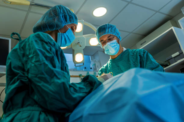 istock Concentrated Surgical team operating a patient in an operation theater 1902402401