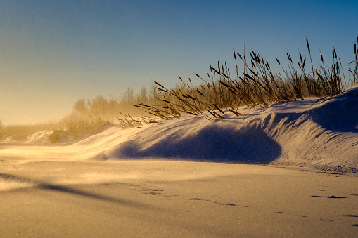 Snow drifts, cattails and ice on a windy snow swept morning