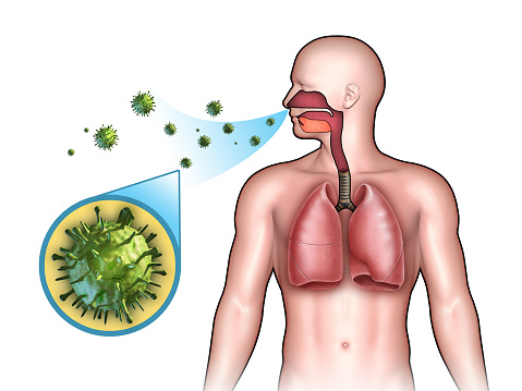 Some virus entering the respiratory system through the nose. Digital illustration, 3D render.