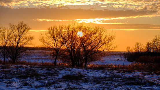 Golden winter sunset on the  prairies