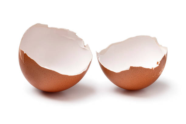 istock Pair of brown empty egg shells close up on white background 1902429887