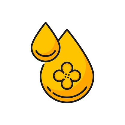 Rapeseed, canola oil drop icon. Isolated vector linear sign of golden dew with flower, showcasing its healthy, versatile, and liquid form. Thin line symbol for natural agricultural or beauty products