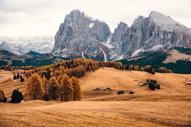 istock south tyrol view with alps in the background 1902470986