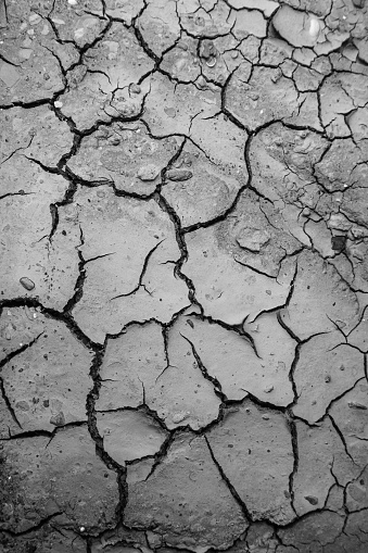 Close-up of cracked, dried earth.