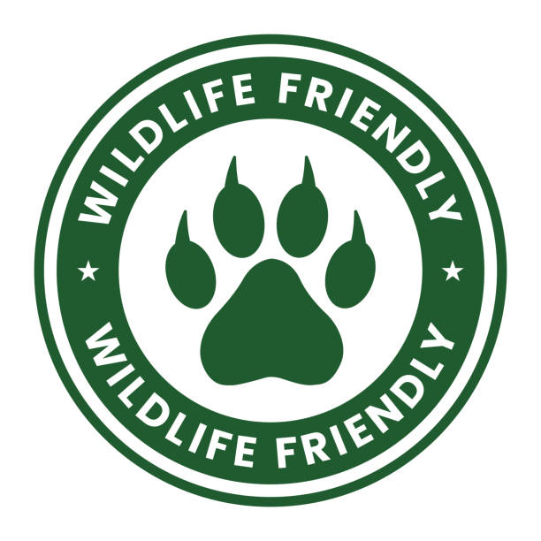 kuvapankkikuvitukset aiheesta villieläimille ystävällinen merkki, merkki, kuvake, etiketti, vektorikuva. - animal welfare