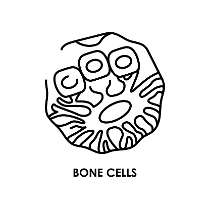 Human bone cell color line icon. Microorganisms microbes, bacteria. Vector isolated element. Editable stroke.