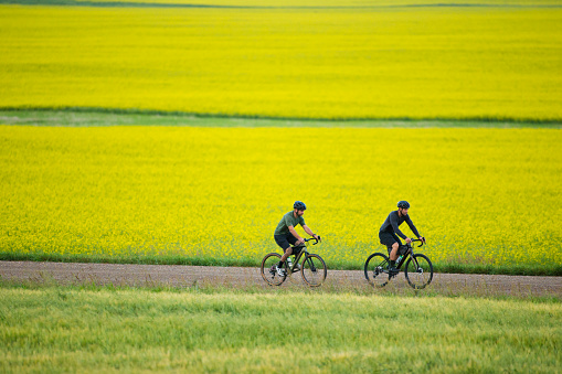 Two men go for a gravel bike ride past fields of canola on a country road near Calgary, Alberta, Canada, in the summertime. Gravel bikes are like road bikes but with sturdy wheels and tires for riding on rough terrain. Both bikes have frame bags and a seat bag to carry tools, food, and extra clothing.