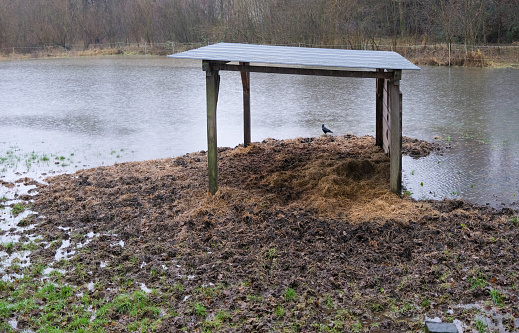 Shelter or Shed for Animal Feed in a Flooded Field during torrential Rainfall
