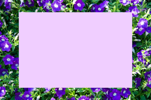 When you open the letter, a beautiful flower pops out.