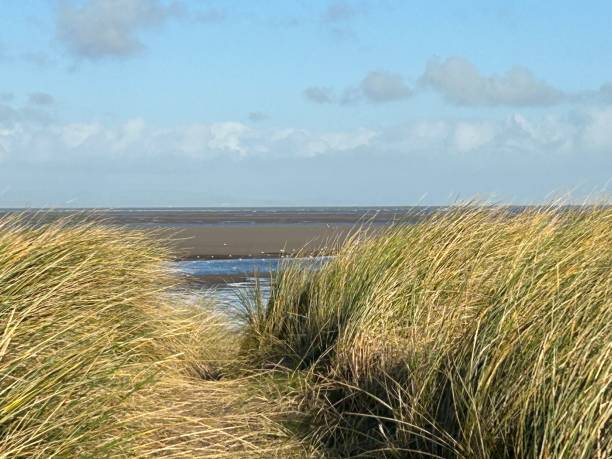 istock Sand Dunes at Fleetwood 1902646725