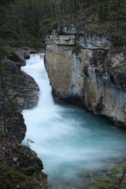 istock Early Morning at Stanley Falls 1902661612