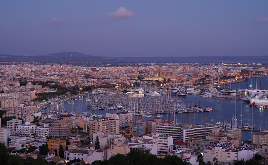 Night view photo of Palma city taken from Bellver Castle