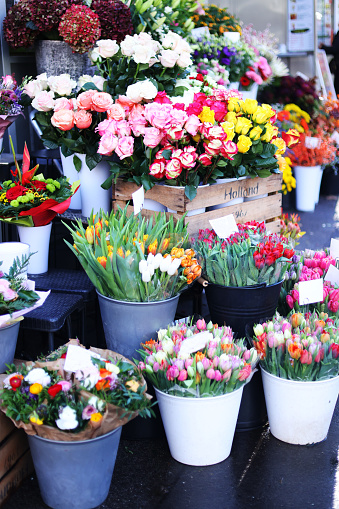 beautiful bouquets of colorful tulips on sale from the florist to the flower market