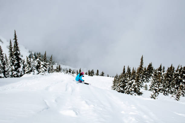 istock Spring powder skiing at Whistler 1902694767