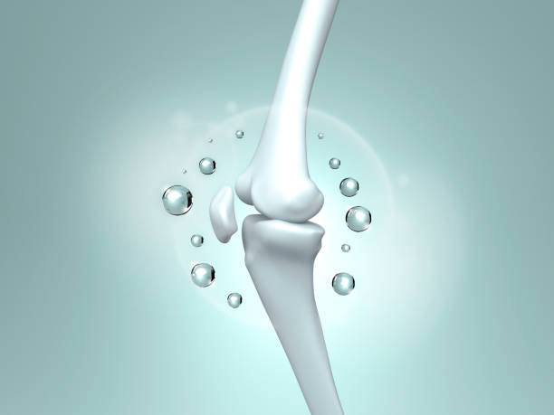 istock Medical food concept. 1902720262