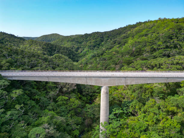 istock nagao bridge at yanbaru forest, okinawa, japan 1902727491