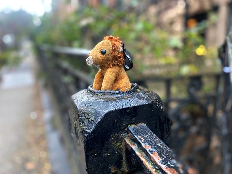 Child’s Stuffed Animal on Cast Iron Fence