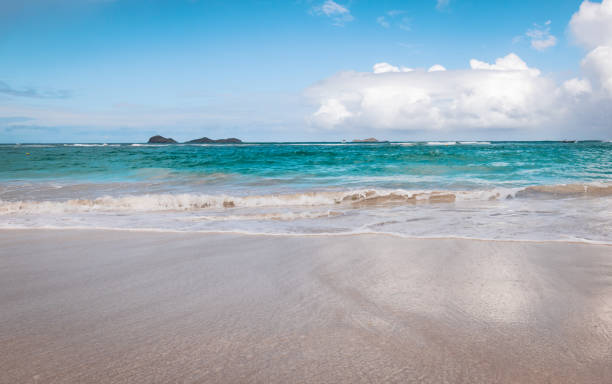 tropischer strand in saint barthélemy. - saint barthelemy caribbean sand caribbean sea stock-fotos und bilder