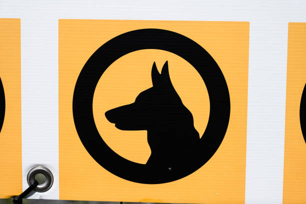 Yellow and black sign warning for guard dog.